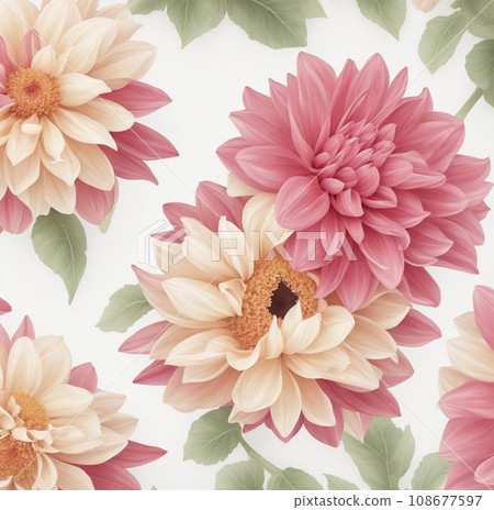 pink chrysanthemum flowers 108677597