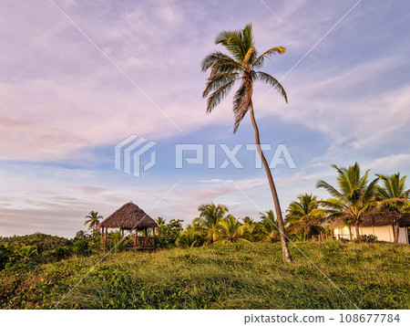 Imbassai beach, Bahia, Brazil. Beautiful beach in the northeast with a river and palm trees. 108677784
