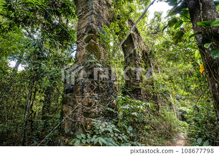 View of the ruins of the old Lazaretto aqueduct at Ilha Grande, Angra dos Reis, Rio de Janeiro, Brazil View of the ruins of the old Lazaretto aqueduct at Ilha Grande, Angra dos Reis, Rio de Janeiro, Brazil 108677798