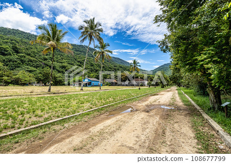 Trail to Dois Rios beach on Ilha Grande, Angra dos Reis, Rio de Janeiro, Brazil. Brazilian landscape. 108677799