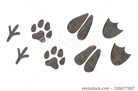 Set of Cartoon domestic animals footprint. Digital hand drawn farm chicken, cow, goose, dog illustration for textile design, poster, postcard. Cartoon style drawing for printing 108677807