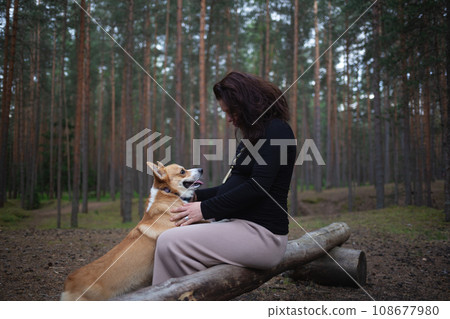 a pregnant woman sits on a log in the forest and plays with her corgi dog 108677980
