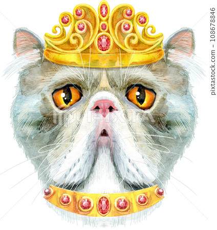 Lovely closeup portrait of Exotic Shorthair cat in golden crown. Hand drawn water colour painting on white background 108678846