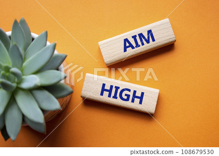 Aim High symbol. Wooden blocks with words Aim High. Beautiful orange background with succulent plant. Business and Aim High concept. Copy space. 108679530