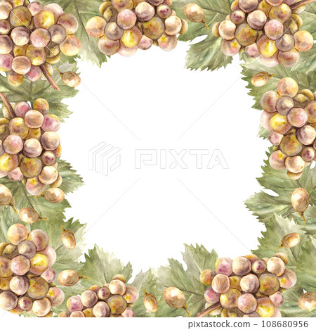 Watercolor frame bunch of green grapes, leaves and grape berry. Grapevine label hand painted illustration Design of card, wine list, invitation, restaurant, bar printing. Isolated on white background Watercolor frame bunch of green grapes, leaves and grape berry. Grapevine label hand painted illustration Design of card, wine list, invitation, restaurant, bar printing. Isolated on white background 108680956