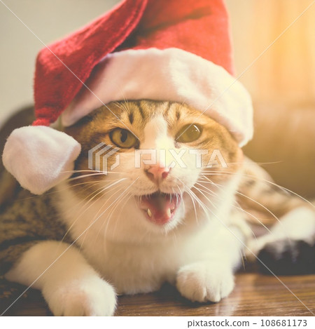 Cat wearing Santa's hat AI image 108681173