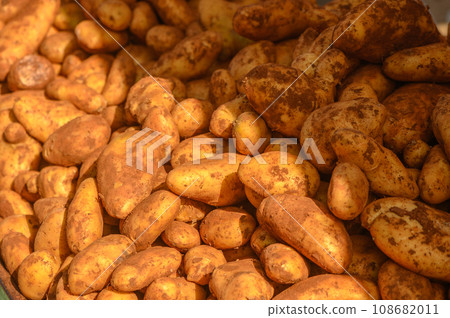potatoes in a pile at a local market in the Mediterranean 1 108682011