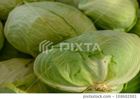 fresh green cabbage at the market on the island of Cyprus in autumn 108682081