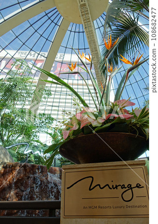【拉斯維加斯風光】幻影酒店中庭“溫室” 108682477