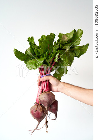 A man holds a bunch of fresh juicy beets with leaves. A man holds a bunch of fresh juicy beets with leaves. 108682935