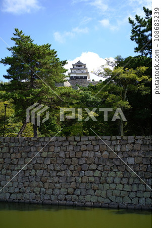 丸龜城堡 丸龜城堡 108683239