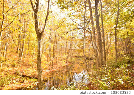 October 2023 Aomori Tsutanuma 108683523