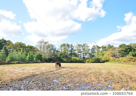 October 2023 Shichinohe Town, Aomori Prefecture October 2023 Shichinohe Town, Aomori Prefecture 108683768