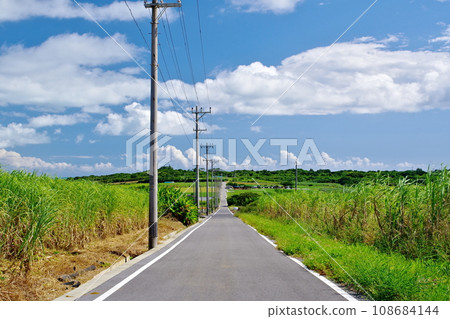 糖路和藍天，沖繩縣小濱島 108684144