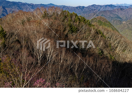 早春時節,從龍神山頂眺望奧道部和八岳的連峰。 早春時節,從龍神山頂眺望奧道部和八岳的連峰。 108684227