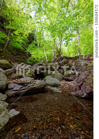 Mountain stream near Kiyotaki hut in Mt. Ryokami with fresh greenery Mountain stream near Kiyotaki hut in Mt. Ryokami with fresh greenery 108684572