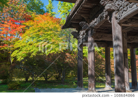 [Starting to change color] Reishoji Temple/Sanmon [Omachi City] 108684866