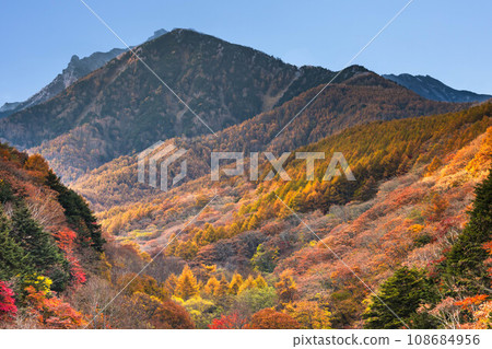 (Yamanashi Prefecture) Autumn Yatsugatake autumn leaves scenery 3 108684956