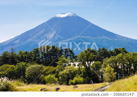 (山梨縣)從河口湖畔看到的富士山風景 (山梨縣)從河口湖畔看到的富士山風景 108685147