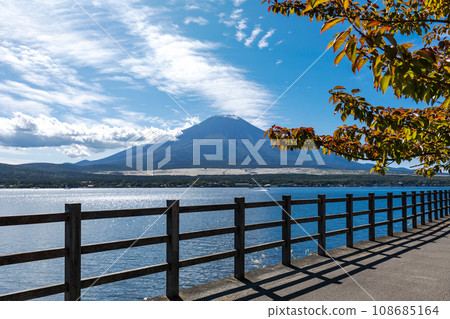 (山梨縣)秋天的山中湖和富士山 3 (山梨縣)秋天的山中湖和富士山 3 108685164