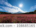 (Yamanashi Prefecture) Autumn scenery of Takanelbee field and Mt. Fuji 1 108685165