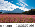 (Yamanashi Prefecture) Autumn scenery of Takanelbee field and Mt. Fuji 2 108685166