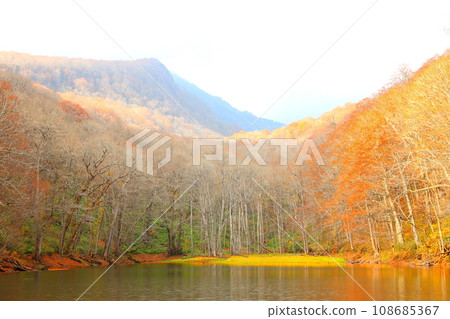 Naganuma, one of the seven ivy ponds in late autumn 108685367