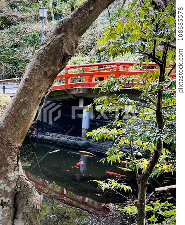 紅橋池塘裡的鯉魚 紅橋池塘裡的鯉魚 108685578