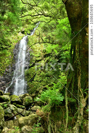 Miyanose Falls [Motomiya Town, Tanabe City, Wakayama Prefecture] 108685695