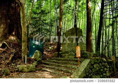 Kumano Kodo Daimonzaka (Prince Tatomi) [Nachikatsuura Town, Higashimuro District, Wakayama Prefecture] 108685882
