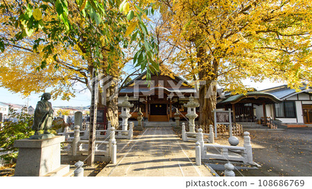 盛岡市圓光寺的美麗黃葉情侶假髮 盛岡市圓光寺的美麗黃葉情侶假髮 108686769