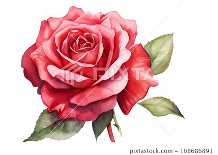Red rose on white background. Generative AI. Red rose on white background. Generative AI. 108686891