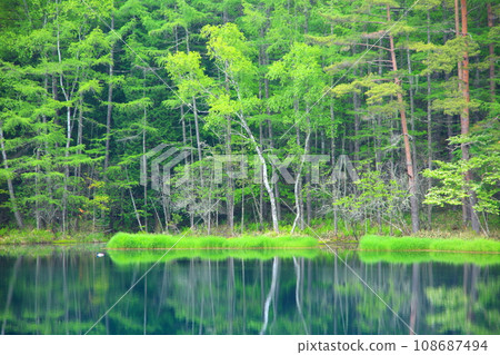 Soothe your soul by the pond in early summer Soothe your soul by the pond in early summer 108687494
