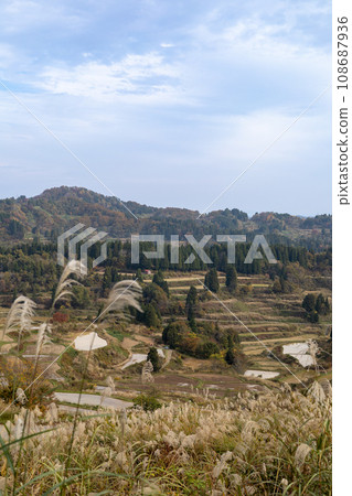 日本的秋天風景：星峠的梯田 108687936