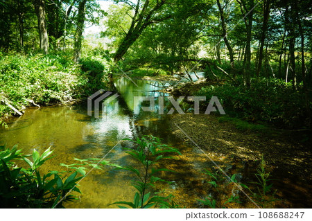 Ozegahara 和池塘水面 108688247