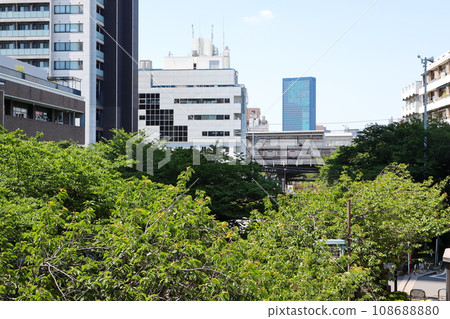 Fresh green Meguro River, Tokyo 108688880