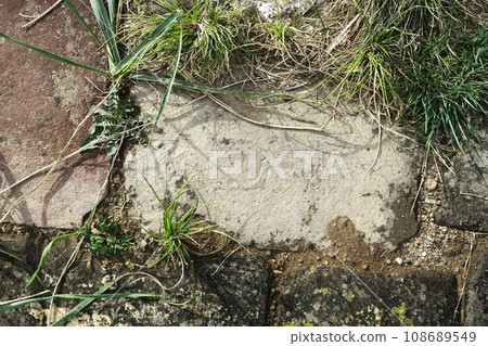 Cultural landscape of Orkhon Valley, ruins of Karakorum, the ancient capital of the Mongol Empire Cultural landscape of Orkhon Valley, ruins of Karakorum, the ancient capital of the Mongol Empire 108689549