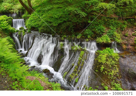 長野Shiraito瀑布 長野Shiraito瀑布 108691571