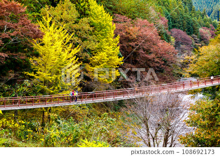Ishibune Bridge and autumn leaves in Akigawa Valley, Akiruno City, Tokyo Ishibune Bridge and autumn leaves in Akigawa Valley, Akiruno City, Tokyo 108692173