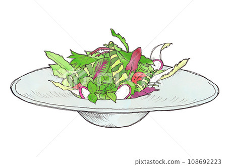 手繪插畫素材：水彩新鮮蔬菜沙拉 108692223