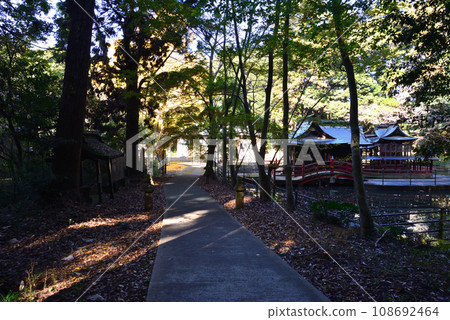 鉾田市/嚴島神社 #91 鉾田市/嚴島神社 #91 108692464