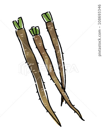 Burdock root Burdock root 108693346