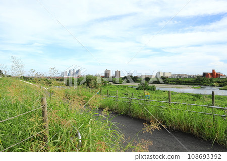 Tokyo Tama River and townscape 108693392