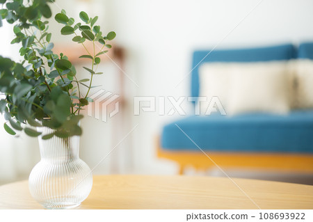 室內植物放在桌子上 108693922