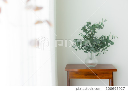 室內植物放在桌子上 室內植物放在桌子上 108693927