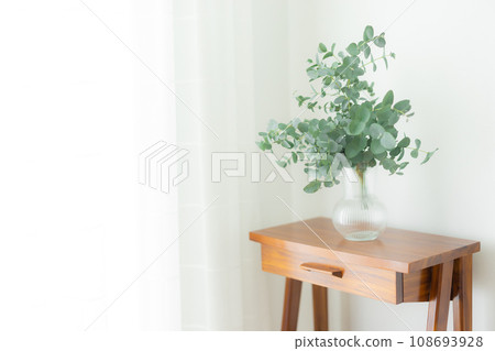 室內植物放在桌子上 108693928