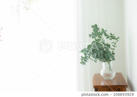 室內植物放在桌子上 108693929