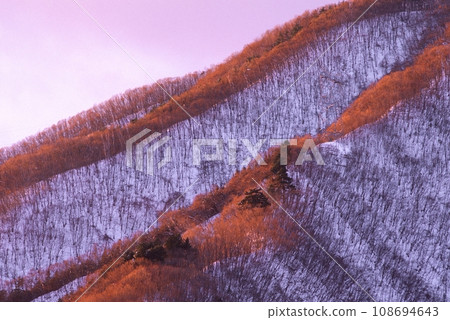 清晨的陽光照射在白雪覆蓋的山脊上 清晨的陽光照射在白雪覆蓋的山脊上 108694643
