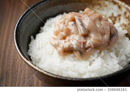Salted squid 108696161