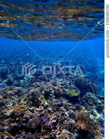 Okinawa, Kerama Islands, Zamami, Amuro Island snorkeling Okinawa, Kerama Islands, Zamami, Amuro Island snorkeling 108696290